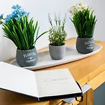 Triomphe 2 - Wifi - Centreville - Terrasse Apartamento