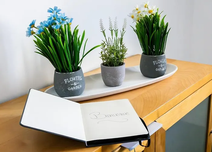 Triomphe 2 - Wifi - Centreville - Terrasse דירה